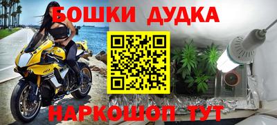 бошки Сланцы