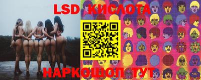 бошки Сланцы
