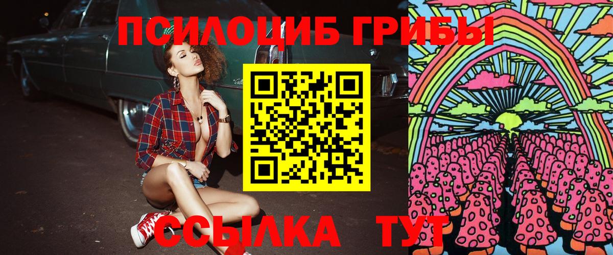 Галлюциногенные грибы прущие грибы  Вход с VPN  Отрадное 